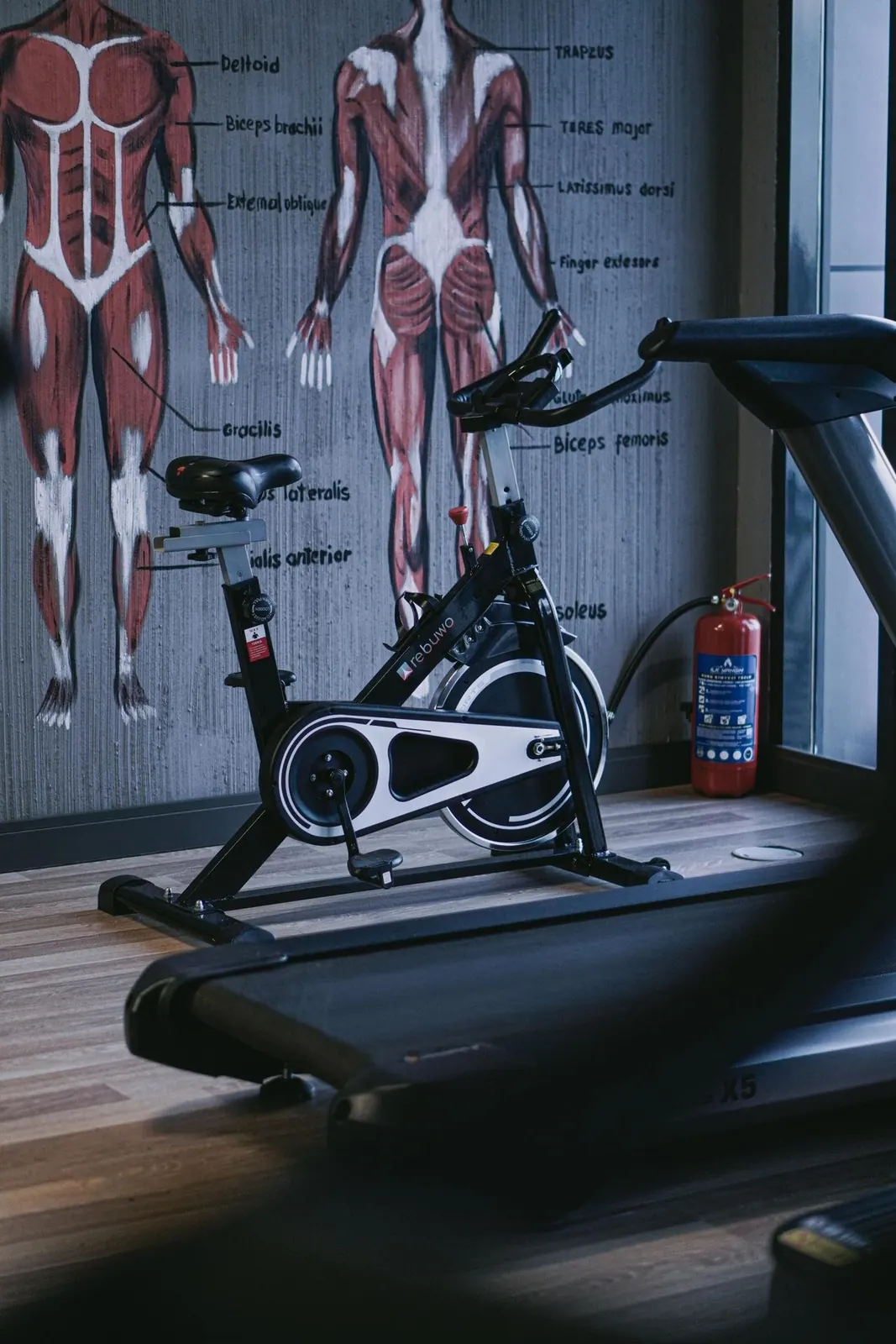 LoopUp XL Personal Training - Görsel 12